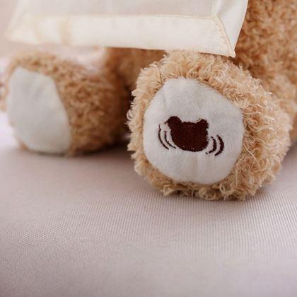 Obrázok z Interaktívny hovoriaci medvedík