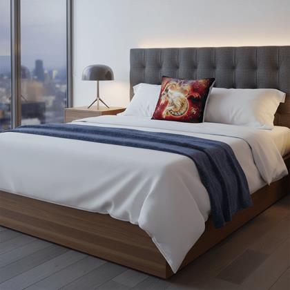 Obrázok z Povlak na vankúš znamenie - Capricorn