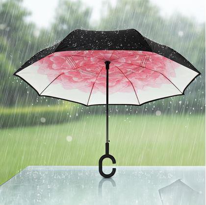 Obrázok z Obrátený dáždnik  -  kvetina