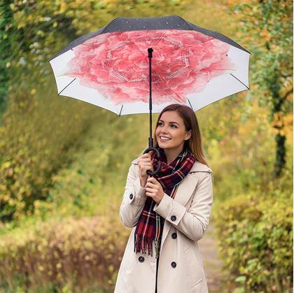 Obrázok z Obrátený dáždnik  -  kvetina