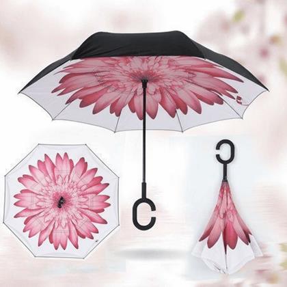 Obrázok z Obrátený dáždnik  -  kvetina