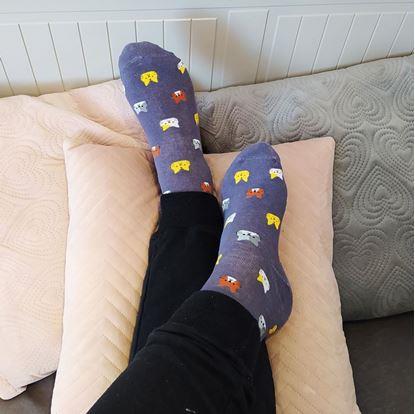 Obrázok Ponožky s mačkami