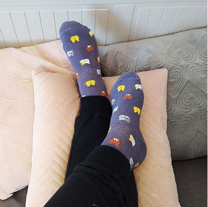 Obrázok z Ponožky s mačkami  -  sivé