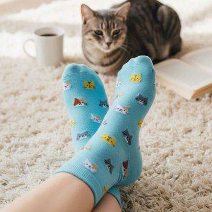 Obrázok Ponožky s mačkami