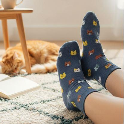 Obrázok Ponožky s mačkami