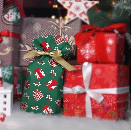 Obrázok z Darčekové sáčky s mašľou 10 ks - L