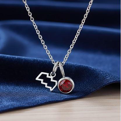 Obrázok Retiazka s príveskom znamenia zverokruhu