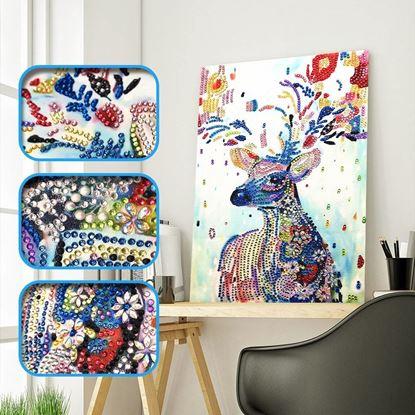 Obrázok Diamantové maľovanie basic