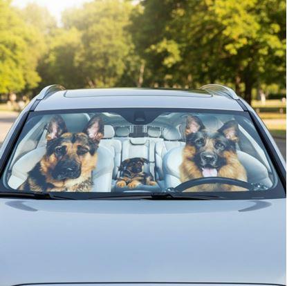 Obrázok Protislnečná clona do auta s prísavkami