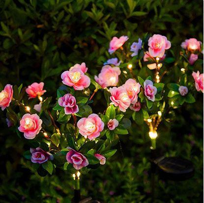 Obrázok Solárna kytička