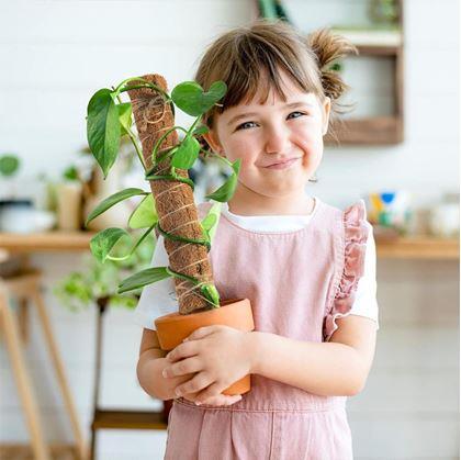 Obrázok z Opora pre popínavé rastliny