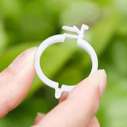 Obrázok Klipy/pásky na uchytenie rastlín 50 ks