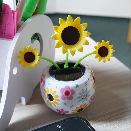 Obrázok z Solárna kvetinka  - slnečnica