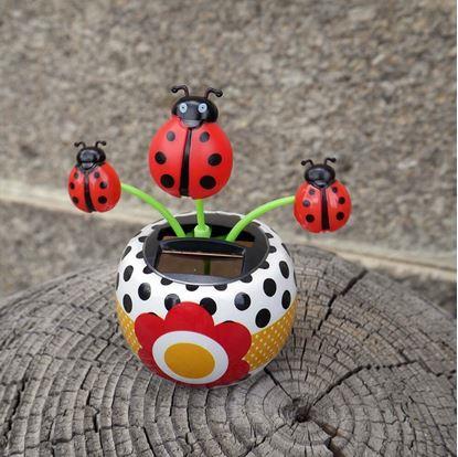 Obrázok Solárna kvetinka