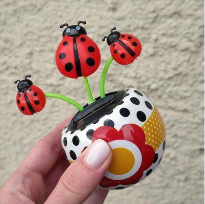 Obrázok z Solárna kvetinka  - lienka