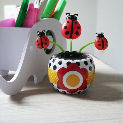 Obrázok z Solárna kvetinka  - lienka