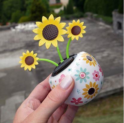 Obrázok Solárna kvetinka