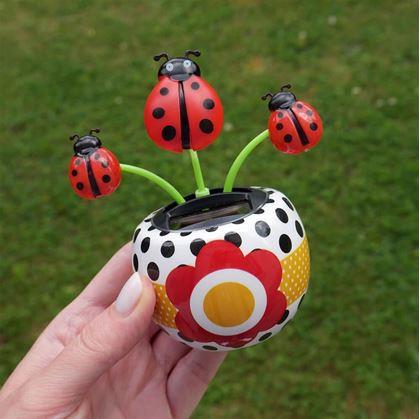 Obrázok z Solárna kvetinka  - lienka