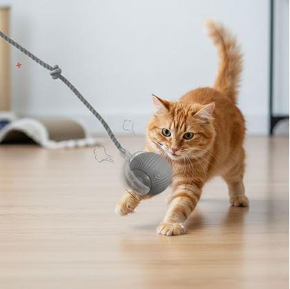 Obrázok z Nabíjacia pohyblivá loptička pre zvieratá