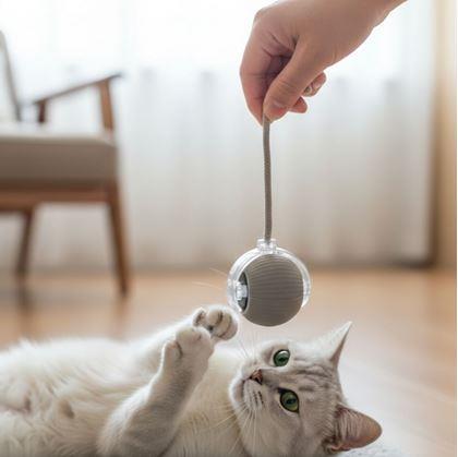 Obrázok z Nabíjacia pohyblivá loptička pre zvieratá