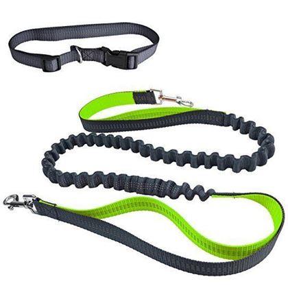 Obrázok z Multifunkčná bežecká vôdzka