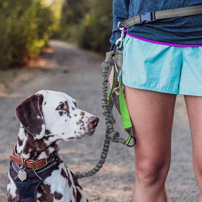 Obrázok Multifunkčná bežecká vôdzka