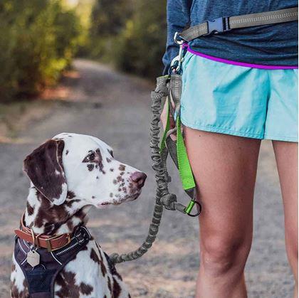 Obrázok z Multifunkčná bežecká vôdzka