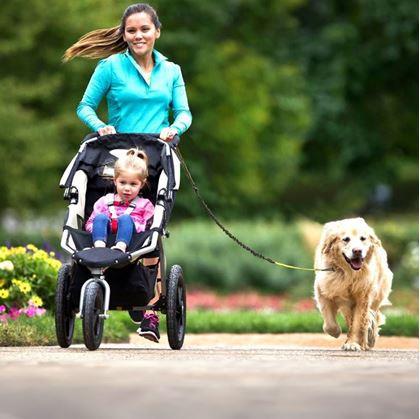 Obrázok z Multifunkčná bežecká vôdzka