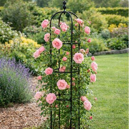 Obrázok Opora pre popínavé rastliny 140 cm