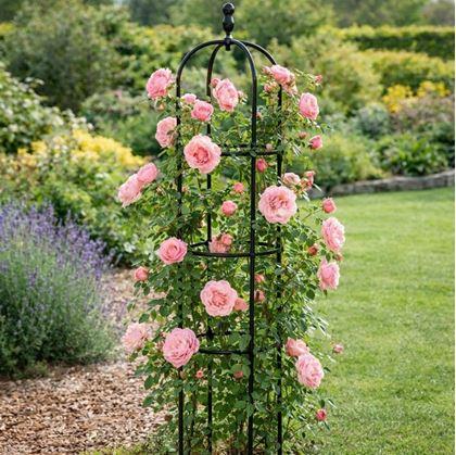 Obrázok z Opora pre popínavé rastliny 140 cm