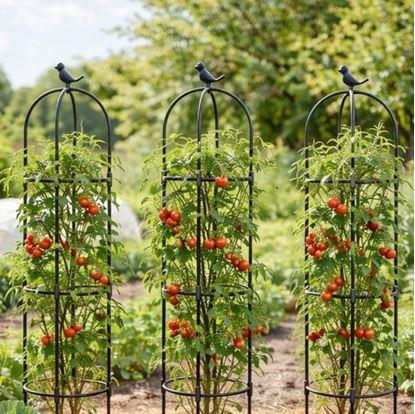 Obrázok Opora pre popínavé rastliny 140 cm