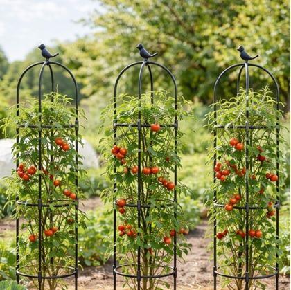 Obrázok z Opora pre popínavé rastliny 140 cm