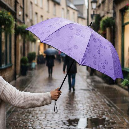 Obrázok Magický dáždnik