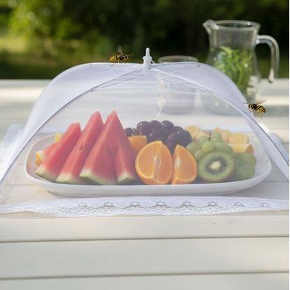 Obrázok Ochranná sieťka na potraviny 60 x 40 cm