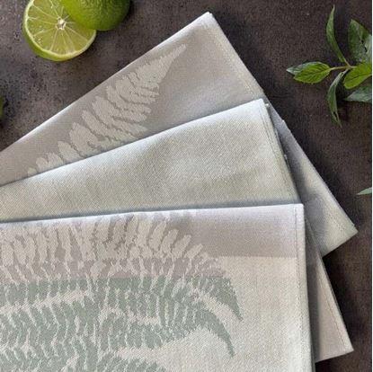 Obrázok Sada 3 bavlnených utierok 50x70 cm - papraď