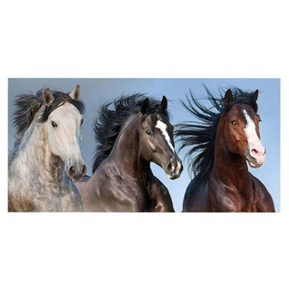 Obrázok Bavlnená osuška divoké kone 70x140 cm