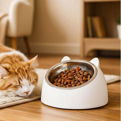 Obrázok z Miska pre mačky 2v1