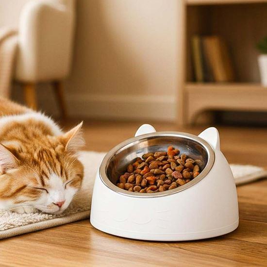 Obrázok z Miska pre mačky 2v1