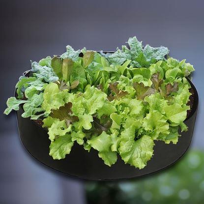 Obrázok Textilný záhon 50 l, 60 x 20 cm