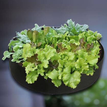 Obrázok z Textilný záhon 50 l, 60 x 20 cm