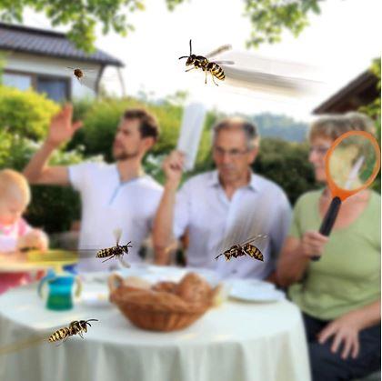 Obrázok z Elektrický plieskač - paralyzér hmyzu