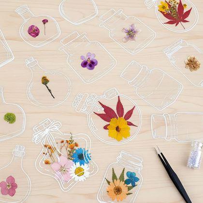 Obrázok z DIY herbár - samolepky na sušené kvety