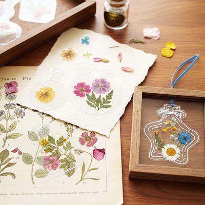 Obrázok z DIY herbár - samolepky na sušené kvety