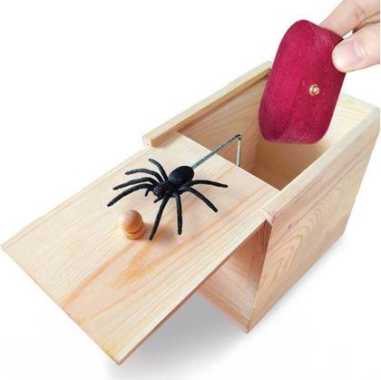 Obrázok z Pavúk v krabičke