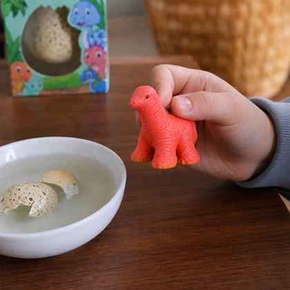 Obrázok z Magické rastúce vajíčko  -  dinosaurus