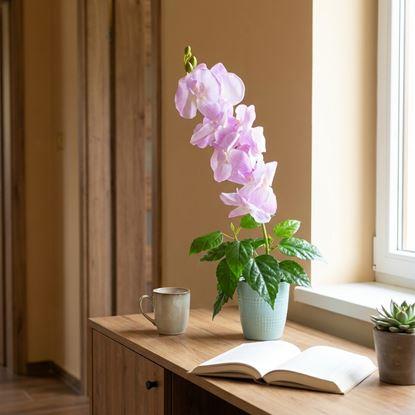 Obrázok Umelé kvety orchidea